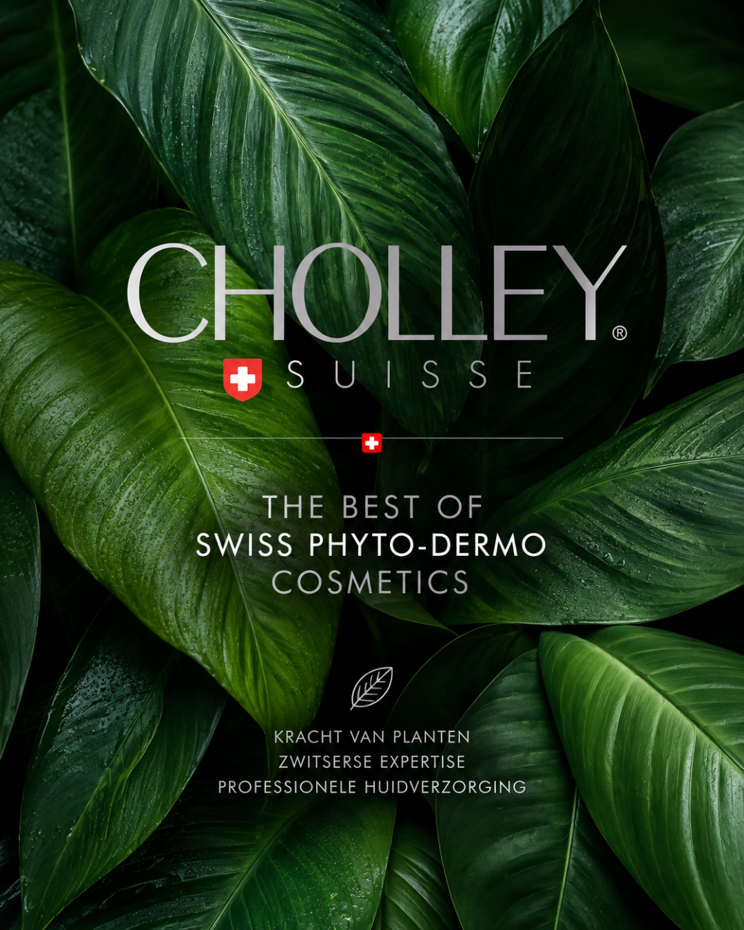 🌿 De kracht van planten, ontwikkeld voor de professional CHOLLEY combineert botanische